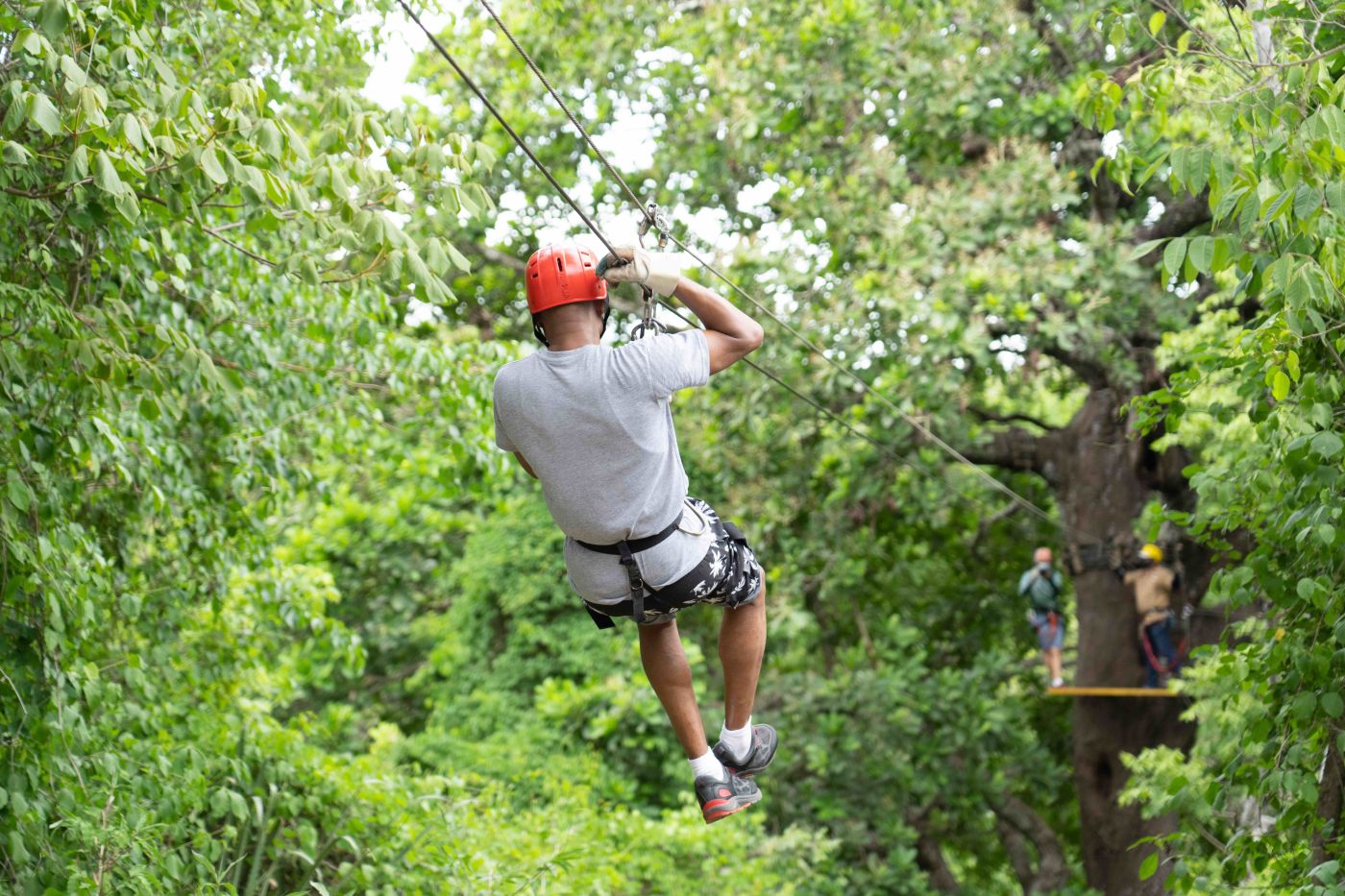 Zapotal Andy Carlson OP May 2019 DSC02954 copy